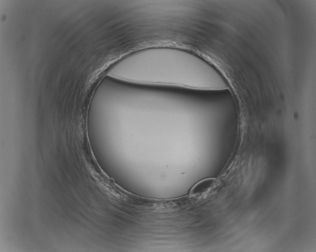 X0000066010345200603031009