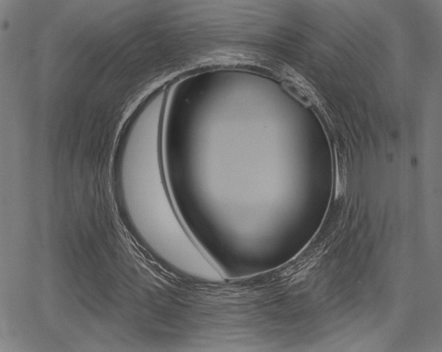 X0000066010387200603031009