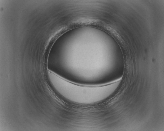 X0000066010399200603031008