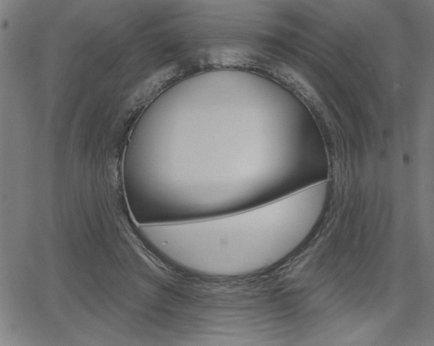 X0000066010401200603031008