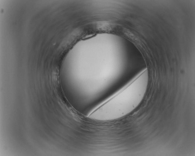 X0000066010424200603031008