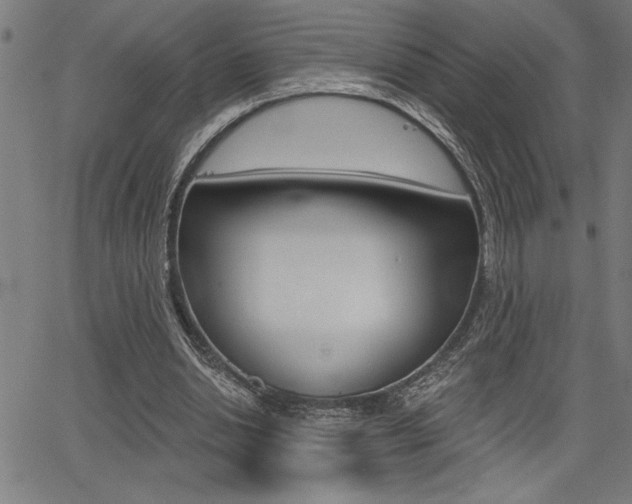 X0000066010438200603031007