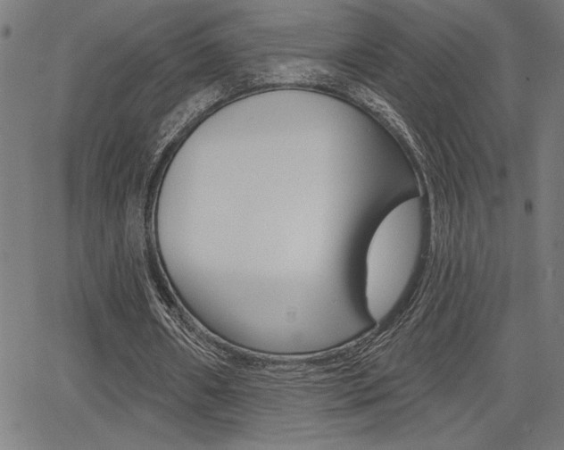X0000066010482200603031007