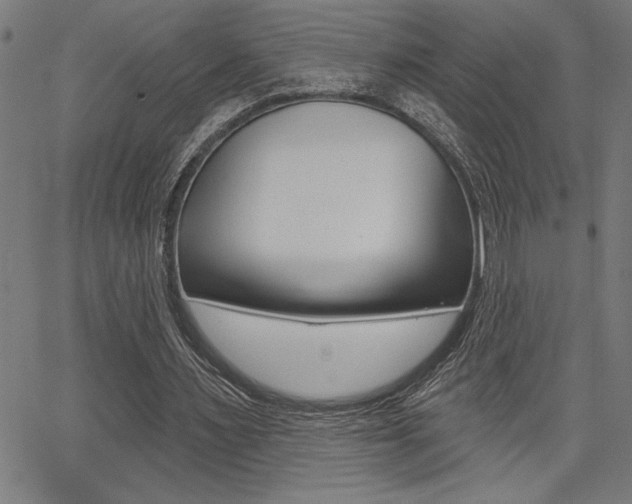 X0000066010483200603031007
