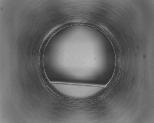 X0000066010484200603031007