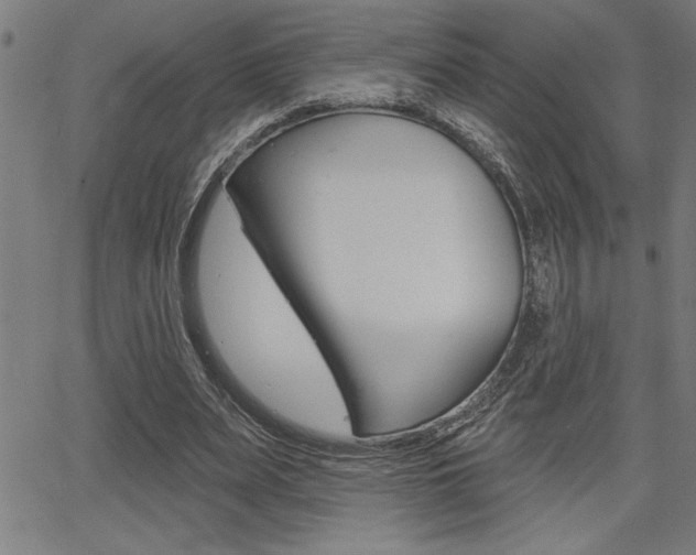 X0000066010487200603031007