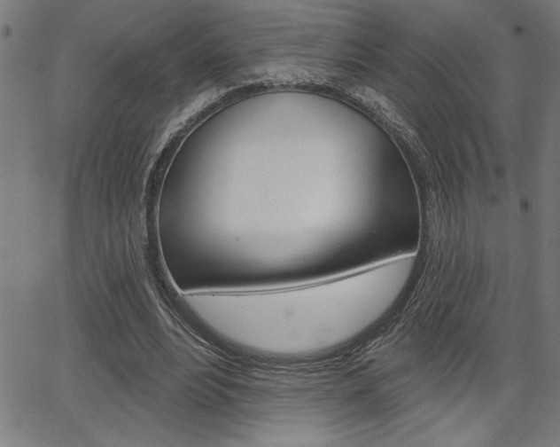 X0000066010488200603031007