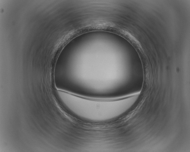 X0000066010493200603031007