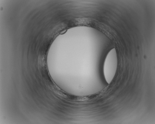 X0000066010514200603031006