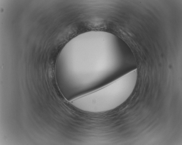X0000066010515200603031006