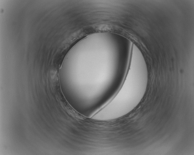 X0000066010521200603031006