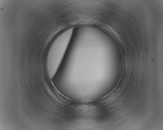 X0000066010542200603031006
