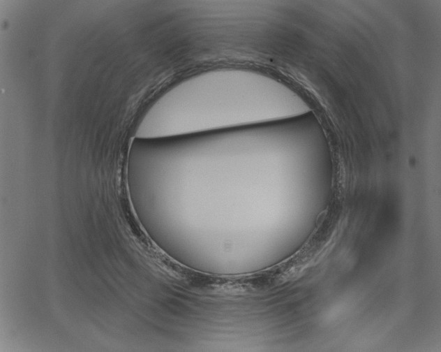X0000066010545200603031006