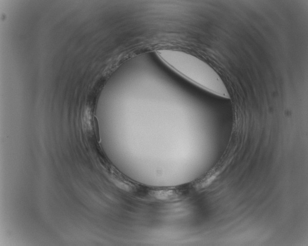 X0000066010575200603031006