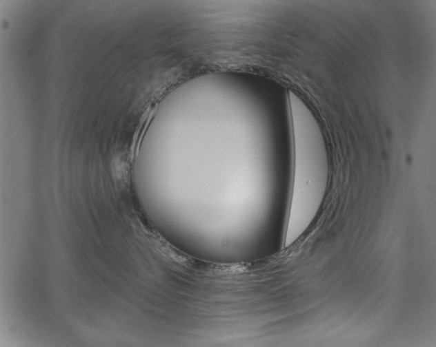 X0000066010576200603031006