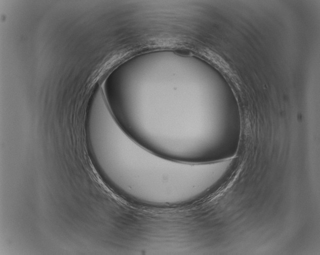 X0000066010577200603031005