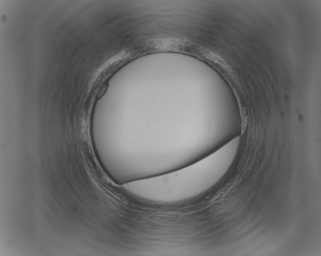 X0000066010587200603031005