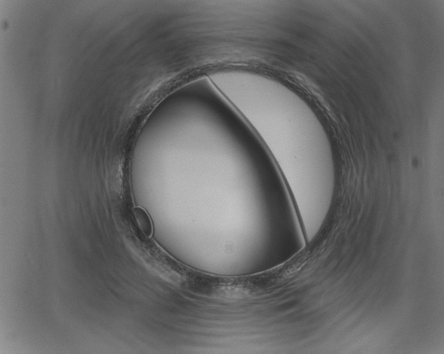 X0000066010596200603031005
