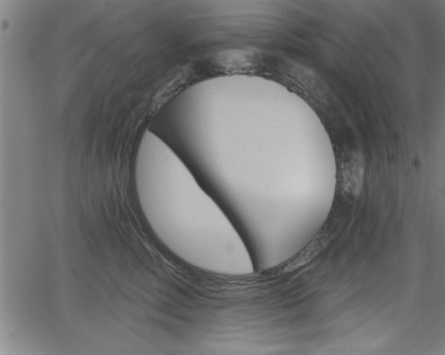 X0000066010618200603031005