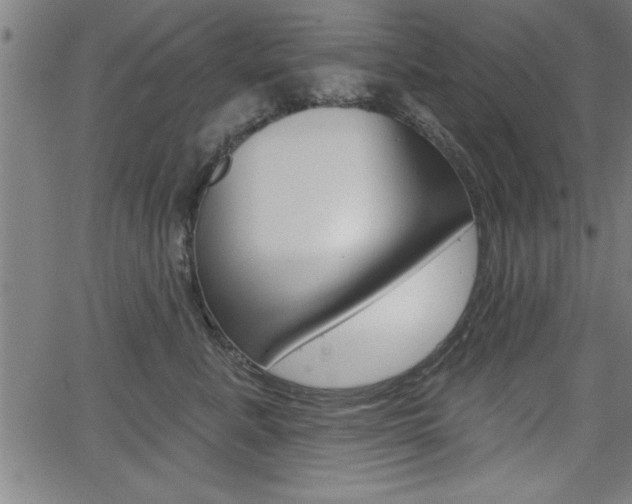 X0000066010619200603031005
