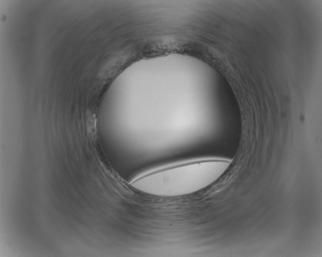 X0000066010624200603031005