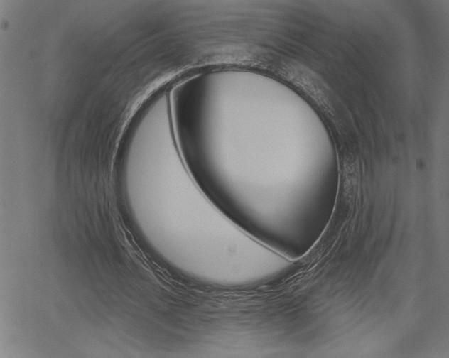 X0000066010628200603031004