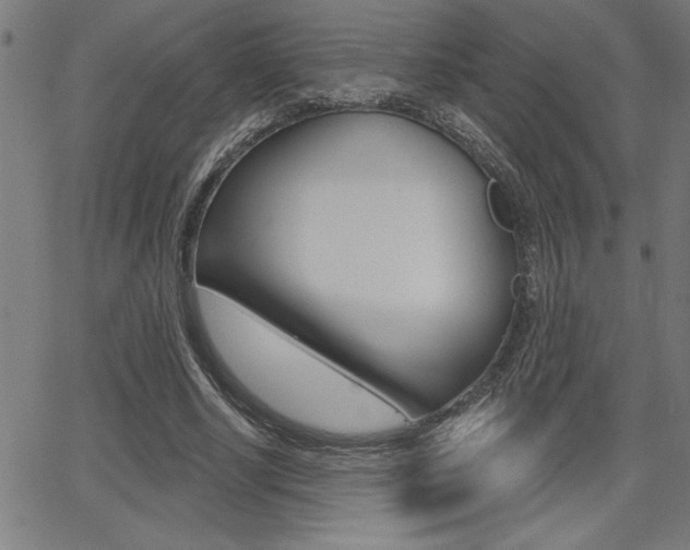 X0000066010634200603031004