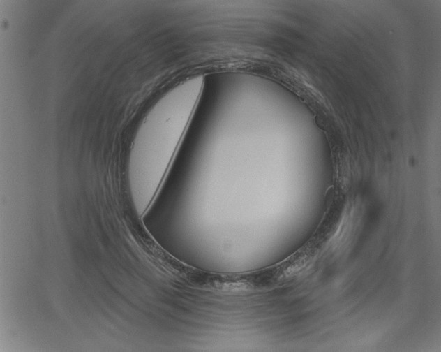 X0000066010645200603031004