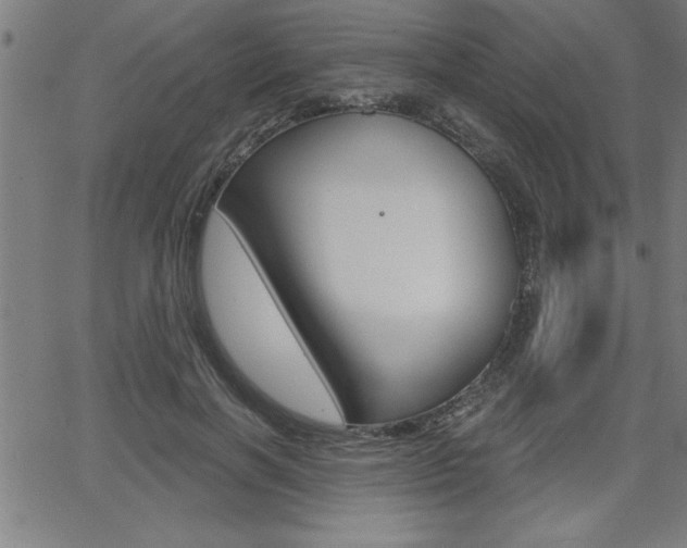 X0000066010646200603031004