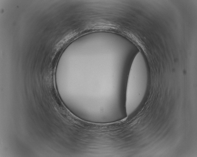 X0000066010675200603031004
