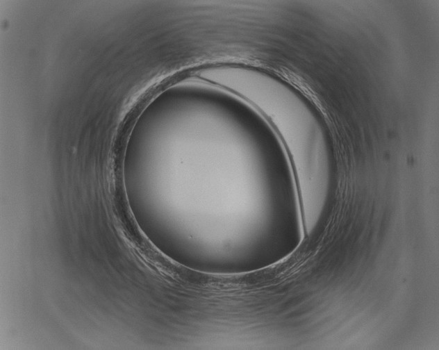 X0000066010676200603031004