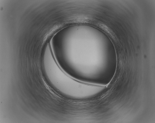X0000066010677200603031004