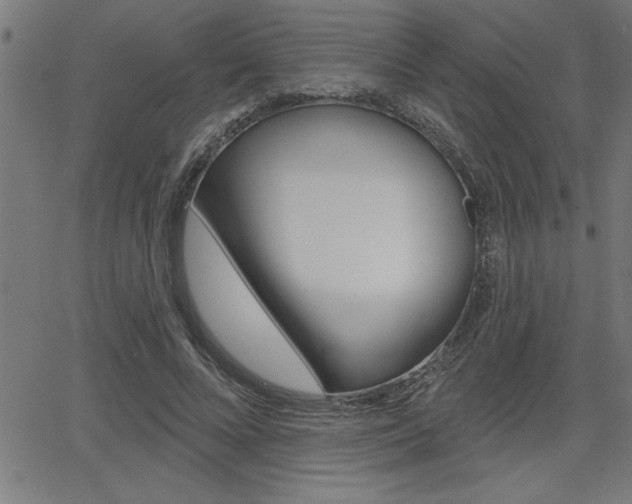 X0000066010688200603031004