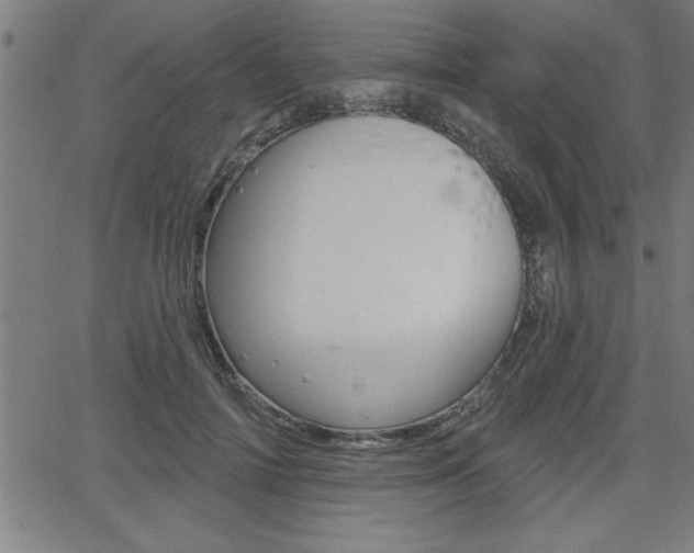 X0000066010698200603031003