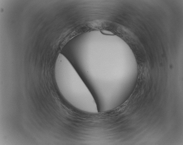 X0000066010702200603031003