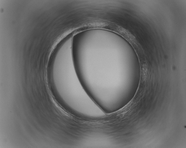 X0000066010726200603031002