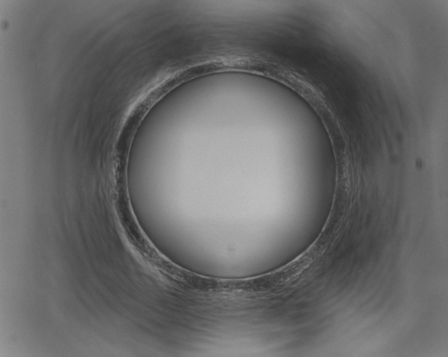X0000066010730200603031002