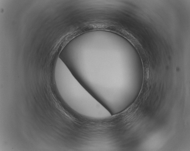 X0000066010733200603031002