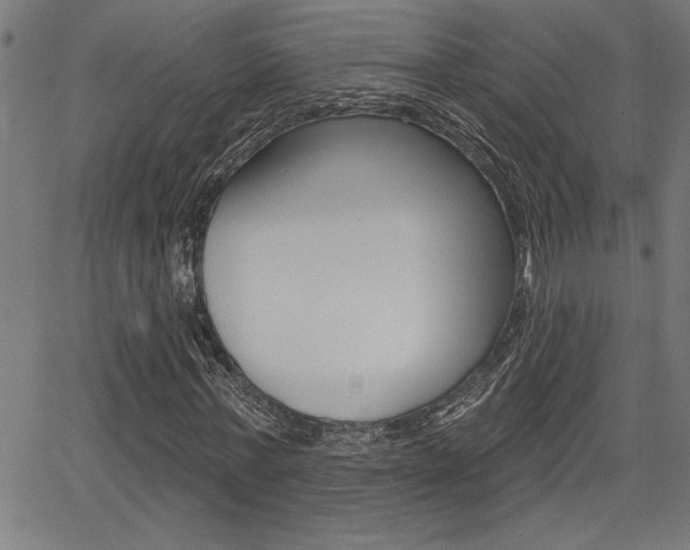 X0000066010771200603031002