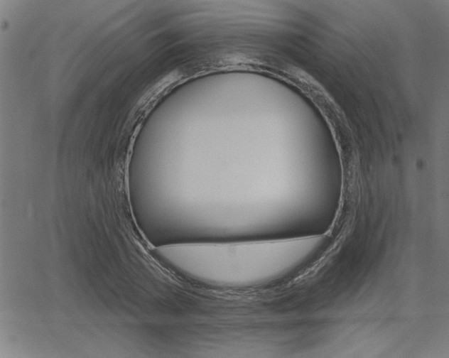 X0000066010785200603031002