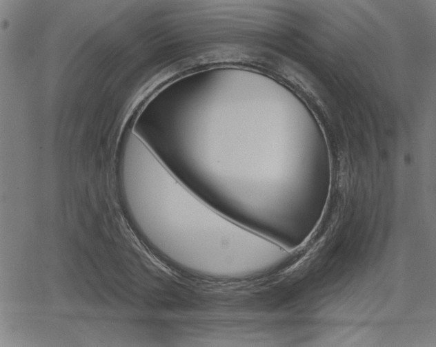 X0000066010786200603031002