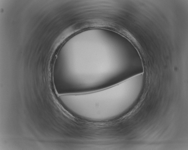 X0000066010787200603031002