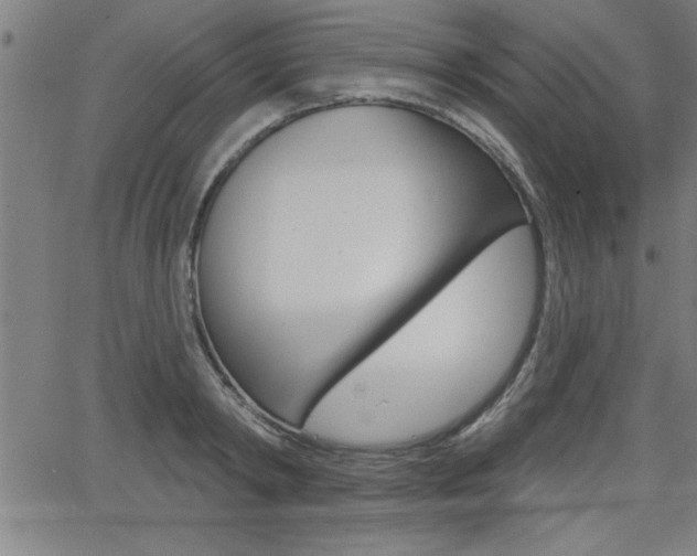 X0000066010798200603031002
