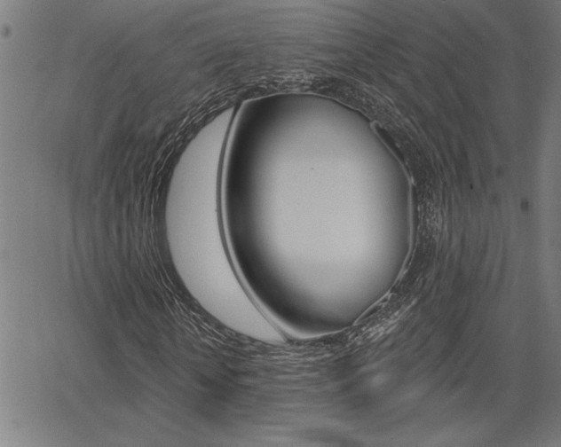 X0000066010818200603031001
