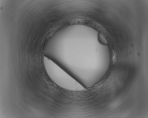 X0000066010819200603031001