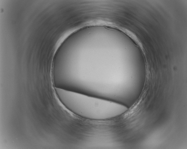 X0000066010863200603031001