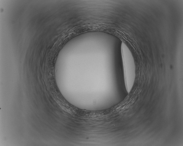X0000066010865200603031001