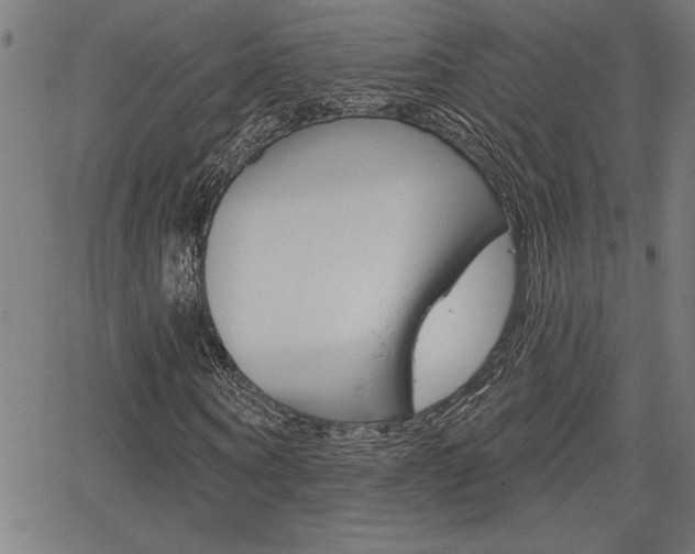 X0000066010866200603031001
