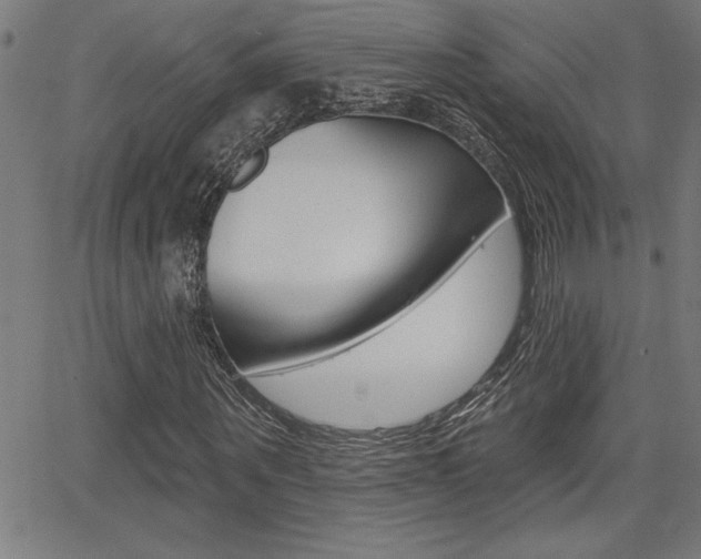 X0000066010867200603031001