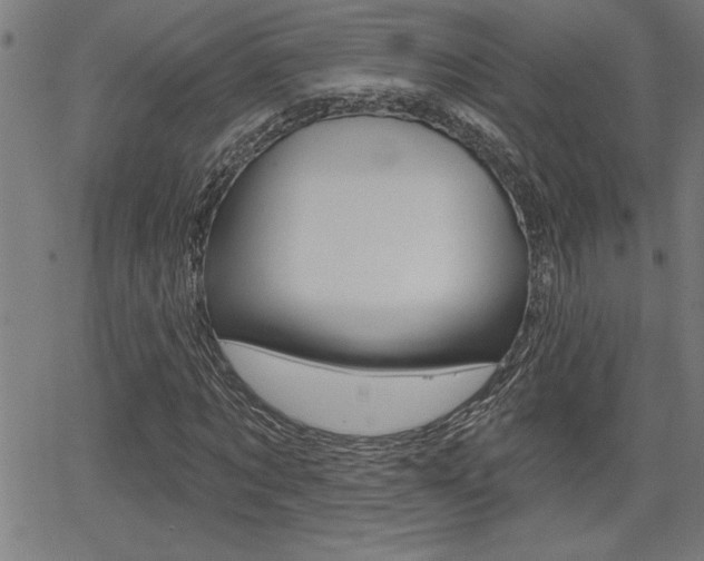 X0000066010869200603031001